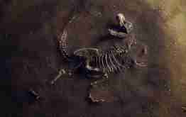 A Paleontologist’s Guide to Notable Fossil Sites Across the Gobi Desert