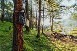 Benefits of Using Portable Shower Systems in Remote Camping Locations